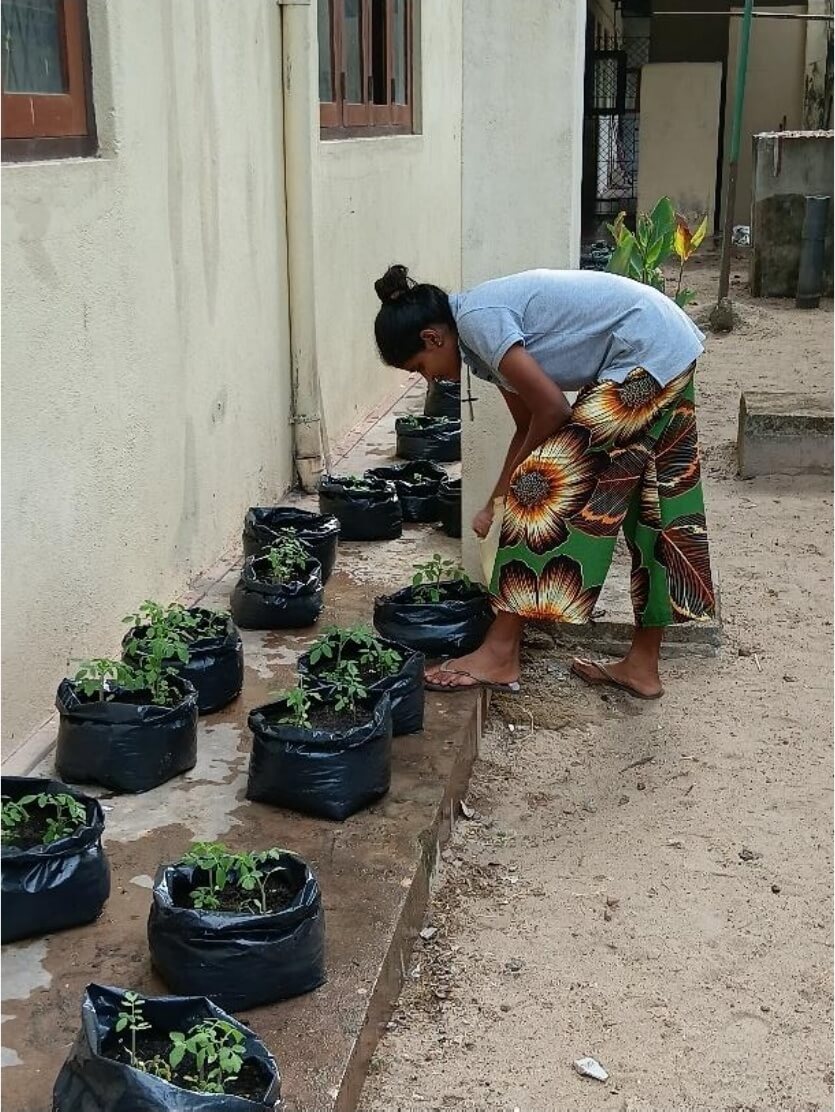 Dom Dziecka Lucia Perotti, Sri Lanka