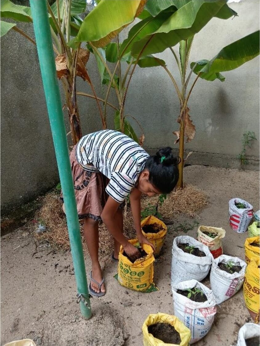 Dom Dziecka Lucia Perotti, Sri Lanka